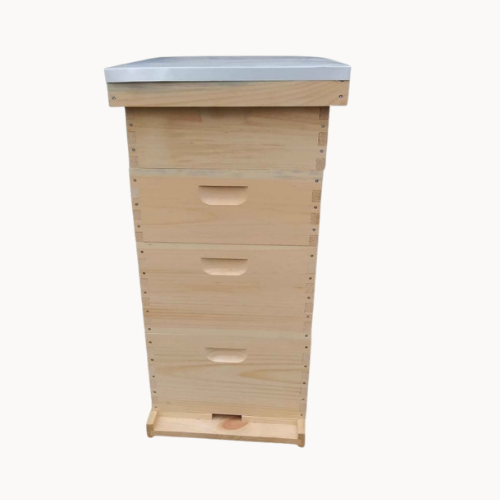 Complete Asemmbled Hive